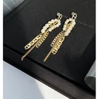 Earrings Personalized Pig Nose 925 Silver Pin Metal Plating 14k Gold Long Tassel Pearls Earrings For Women