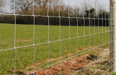 Boundaries fence4.jpg