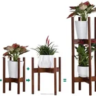 Plant Plants Wood Plant Stand Factory Supply 2 Tier Tall Table Top Decor Natural Bamboo Wood Plant Stands For Indoor Plants