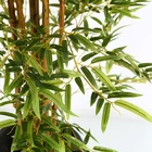 Bonsai Decoration Fake Bonsai Faux Bambu Fencing Artificial Plants And Trees Artificial Bamboo Tree