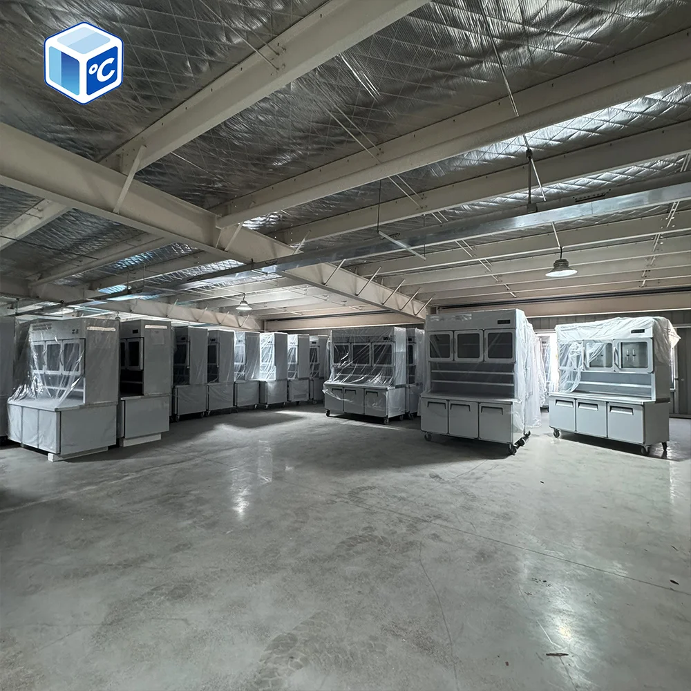 Saving Stainless Steel Freezer, 220 V - detail 70