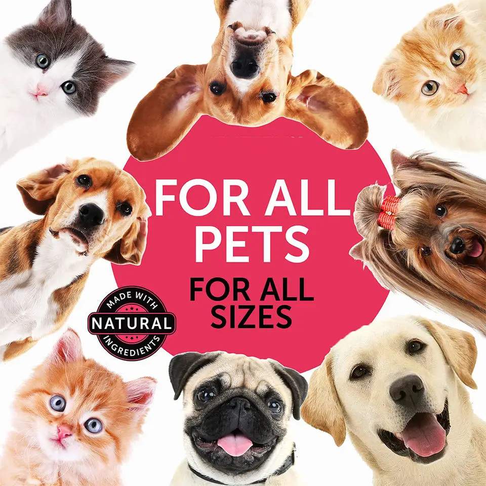  Discover the Best Pet Supplies Plus in Minneapolis, MN: Your Ultimate Destination for Quality Pet Products