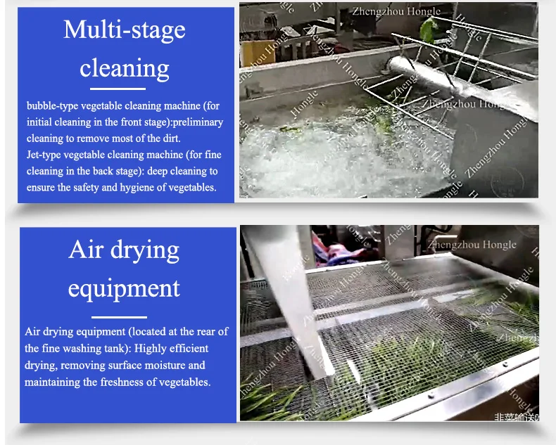 Dehydrator Fruit And Vegetables Packing Peeling Cutting Washing Processing Machines N Vegetable Slicer Cutter Chopper manufacture