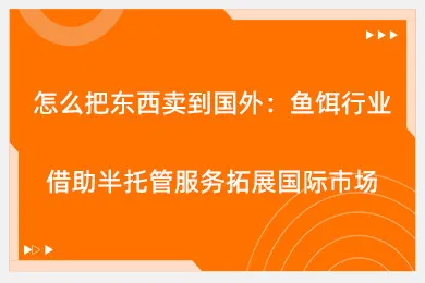 怎么把东西卖到国外：鱼饵行业借助半托管服务拓展国际市场