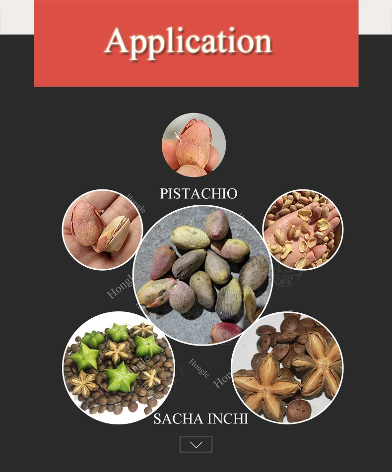 Hot Selling Pistachio Peeling Machine Fresh Pistachios Peeling Machine Inca Fruit Peeling With Low Price details