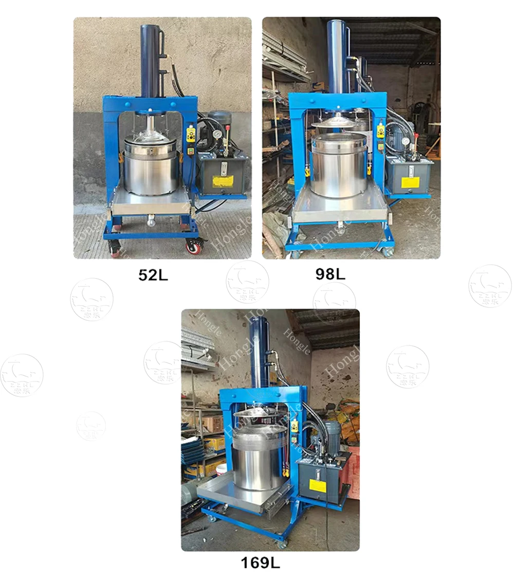 Hydraulic Cold Press Juicer Equipment Electric Citrus Juicer Stainless Steel Grape Squeezing Pressing Juice Making Machine factory