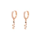 Hoop Earrings Earrings Gemnel New Fashion Jewelry 14k Gold Delicate Zircons Snake Hoop Earrings