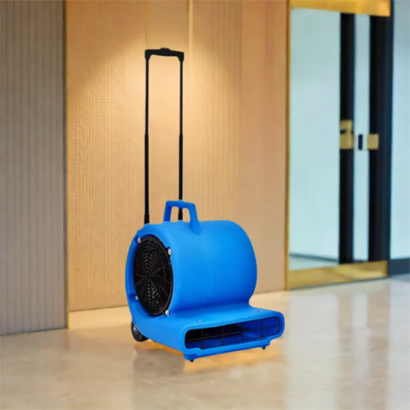 Air Blower, Portable, 220 V, 3000 - detail 8