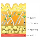 Pure Natural High Purity High Physiological Activity Single 2A Configuration GG Cosmetics Material