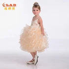 Clothes Dress Kids Dresses Children Clothes Dress Kids Party Wear Dresses Birthday Lace Organza Girls' Dresses