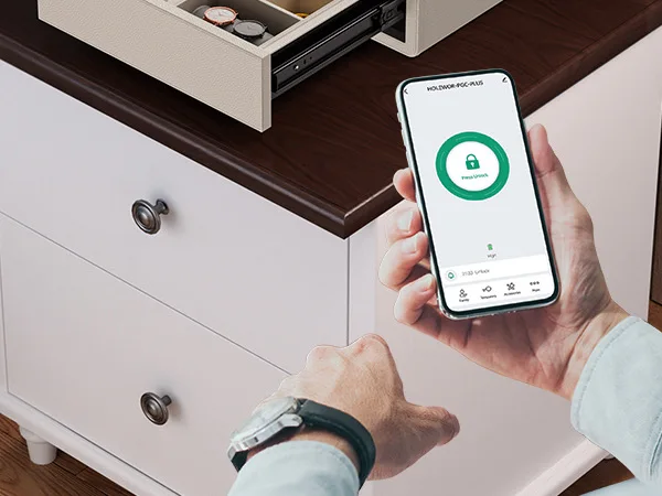 CEQSAFE Europe Market High-end Password Locker Leather Bluetooth Drawer Safe Jewelry Watch Winder Safe Box details