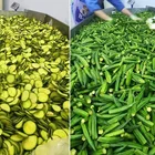 Fryer Cost-effective Multifunctional Stainless Steel Fried Food Vacuum Fryer