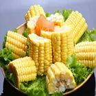 Organic Corn Frozen IQF Organic Sweet Corn On The Cob In Frozen Corn