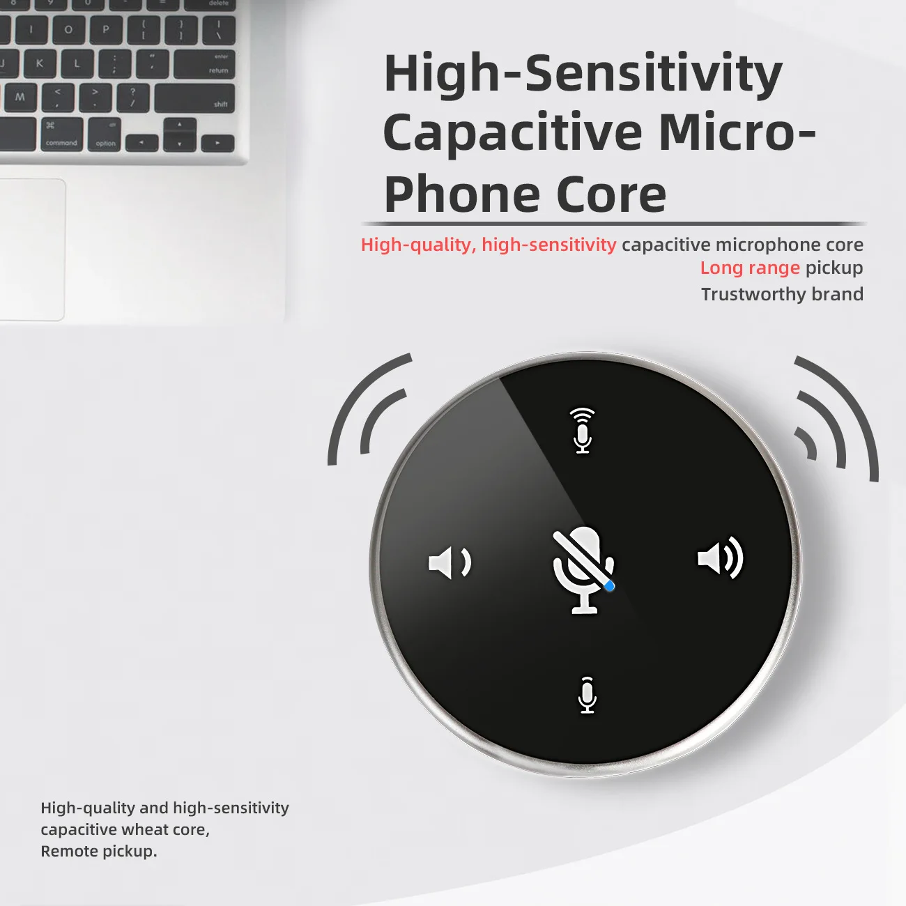 SPEAKER MICROPHONE (18)