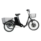Electric Trike OEM Customize Factory Price Electric Trike 3 Wheels Adult Electric Bike Bicycle