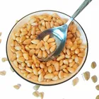 Pine Nuts Shell Pine Nuts Prices Wholesale Wild Kernel Pine Nuts Without Shell From Chinese Factory