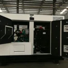 Natural Gas Generator 20kw Gas Generator 20kw Natural Gas Turbine Generator