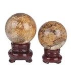 Chrysanthemum Wholesale Natural Chrysanthemum Jade Coral Fossil Crystal Balls For Home Decoration