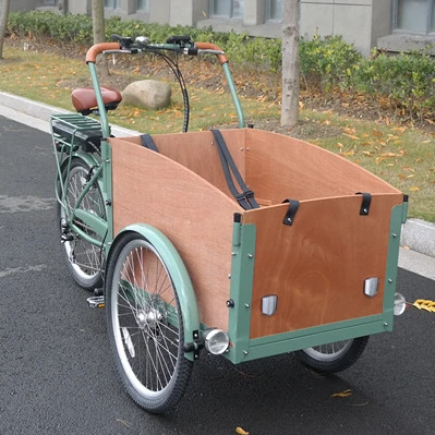 Family E Cargo Bike 3 Wheel Cargo Bike 