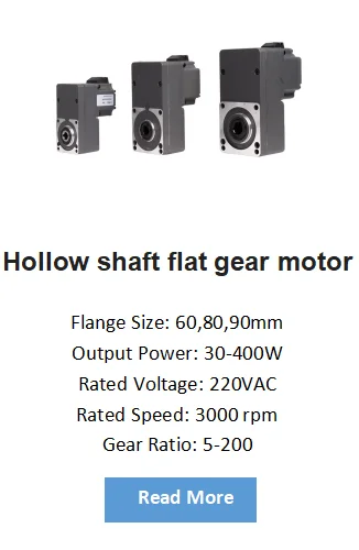 Bldc Motor, 48V, 24V, 110V, 220V - detail 8