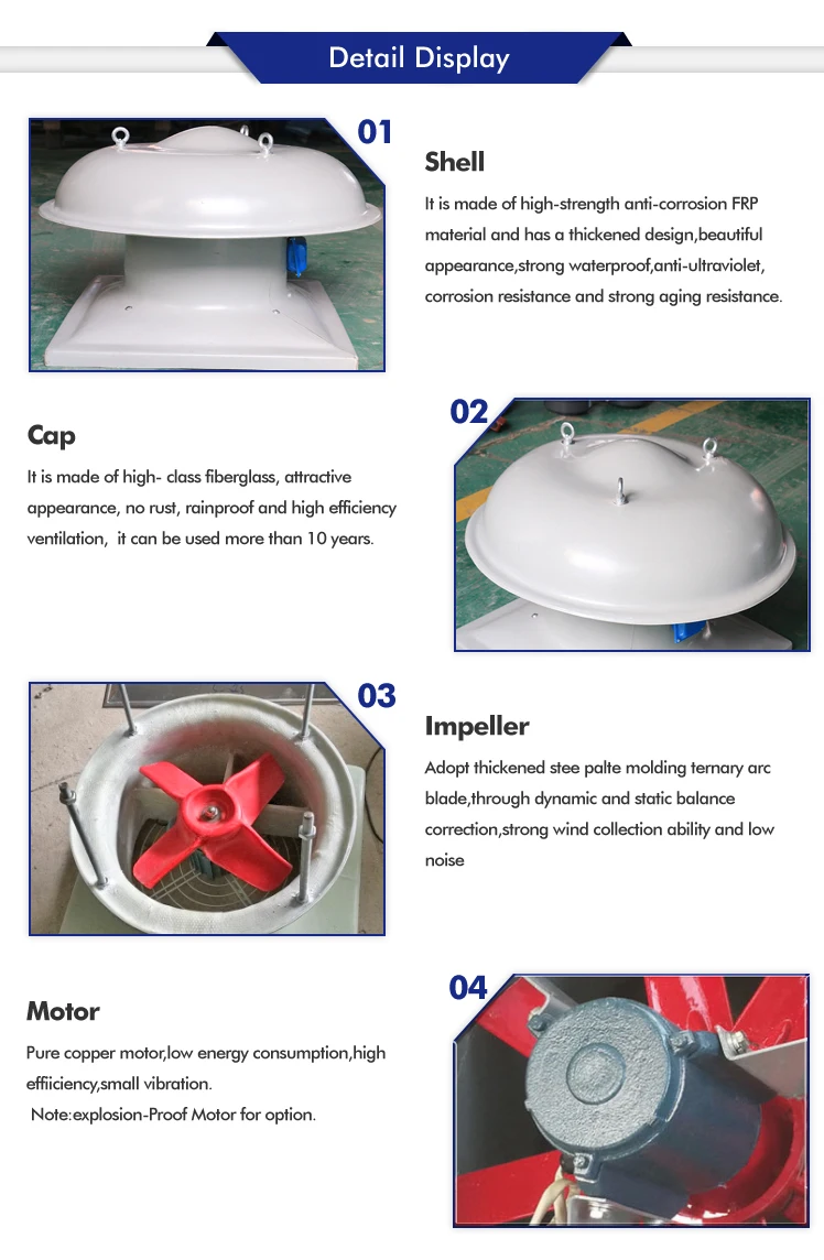 DWT-II roof fan (2)