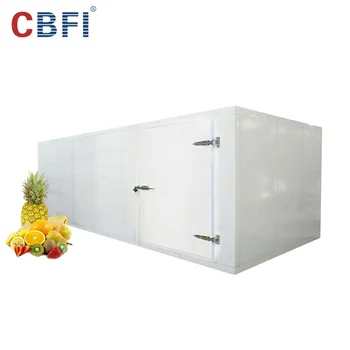 Cold Room for meat with Freon system