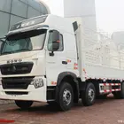 Truck SINOTRUCK HOWO 8X4 CARGO TRUCK