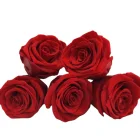 Rose 2021 Yunnan Hot Wholesale Natural Flower Preserved Rose Head 5 To 6 Cm For Wedding Decoration