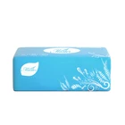 Paper Bamboo Pulp Bamboo Tissue High Quality Paper 100% Virgin Bamboo Pulp Custom Extract Paper Tissue Soft Bag