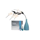 Products Beauty Standard Packaging Skin Care Products Serum Skin Care Beauty Products