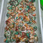 Abalone Shell Shells Hot Sale Natural Rainbow Color Abalone Shell Crafts Flashy Light Abalone Shells