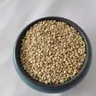 Seed Peladora De Quinoa Wholesale Quinoa Seed People Love The Quinoa For Food