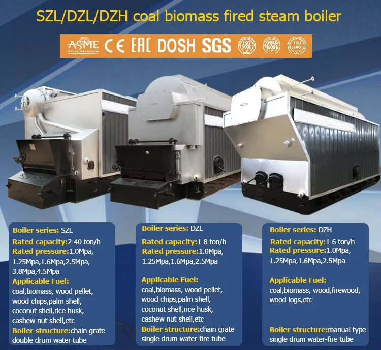 Steam Boiler, Natural Circulation - detail 6