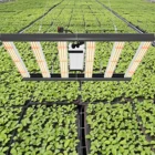 Led Led 301b Led Grow Light SYLSTAR 2020 Led Profesional Foldable Grow Lights From China Samsung 301B