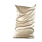 Silk Silk Zippered Pillowcase For Hair And Skin Pure Mulberry Silk 22 Momme Slip Silk Pillowcase