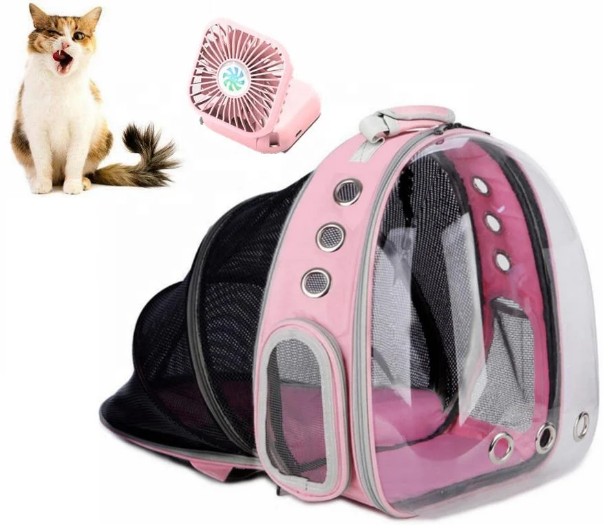 best backpack cat carrier