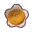 Food Grade High Quality Hawthorn Fruit Extract For Health Food