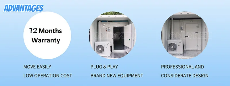 Container Chiller, 20FT/40HQ, 220v, R-404A - detail 12