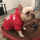 Clothes Wholesale Sportswear Plush Warm Fashionable Luxury Designer Puppy Dog Apparel Clothes Hoodies