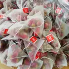 Tea Herbal Flavoured Tea Pyramid Tea Bag Custom Tastes Herbal Tea Flavored Tea