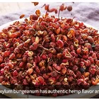 Chili High Quality Red Chili Powder Hot Chili Bird Eye Chili China Best Price