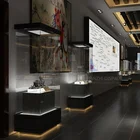 High End Customized Museum Display Case Jewelry Brass Museum Display Case Museum Display Dress Coat