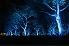 Lighting Outdoor Architectural Lighting IP67 Outdoor DMX/RDM RGBW 36W Customized For Garden Led Tree Flood Light