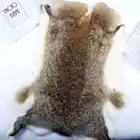Rex Natural Rex Rabbit Fur Skins / Wholesale Rex Rrabbit Fur Pelts / Frozen Rabbit Skin