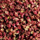Red Pepper Pepperred 2021 Hot Selling Good Price 170g Red Sichuan Pepper Seasoning