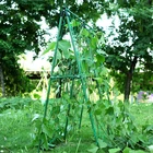 Garden Garden Plant Supports Metal Ground Stakes Plastic Sticks For Tomato Cage Plant Stick