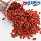 Hot Selling Best Quality Lycium Antioxidant Chinese Wolf Berry Natural Ningxia Bulk Goji Berry