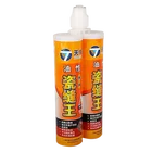 Adhesion Top Selling Waterproof Mildew Proof Strong Adhesion Beautify Tiles Two-component 400ml Beauty Seam Agent