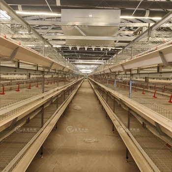 Electric Animal Husbandry Breeding Equipment Chicken Broiler Cages Broiler Breeder Cages for Breeding Meat Broiler Chicken