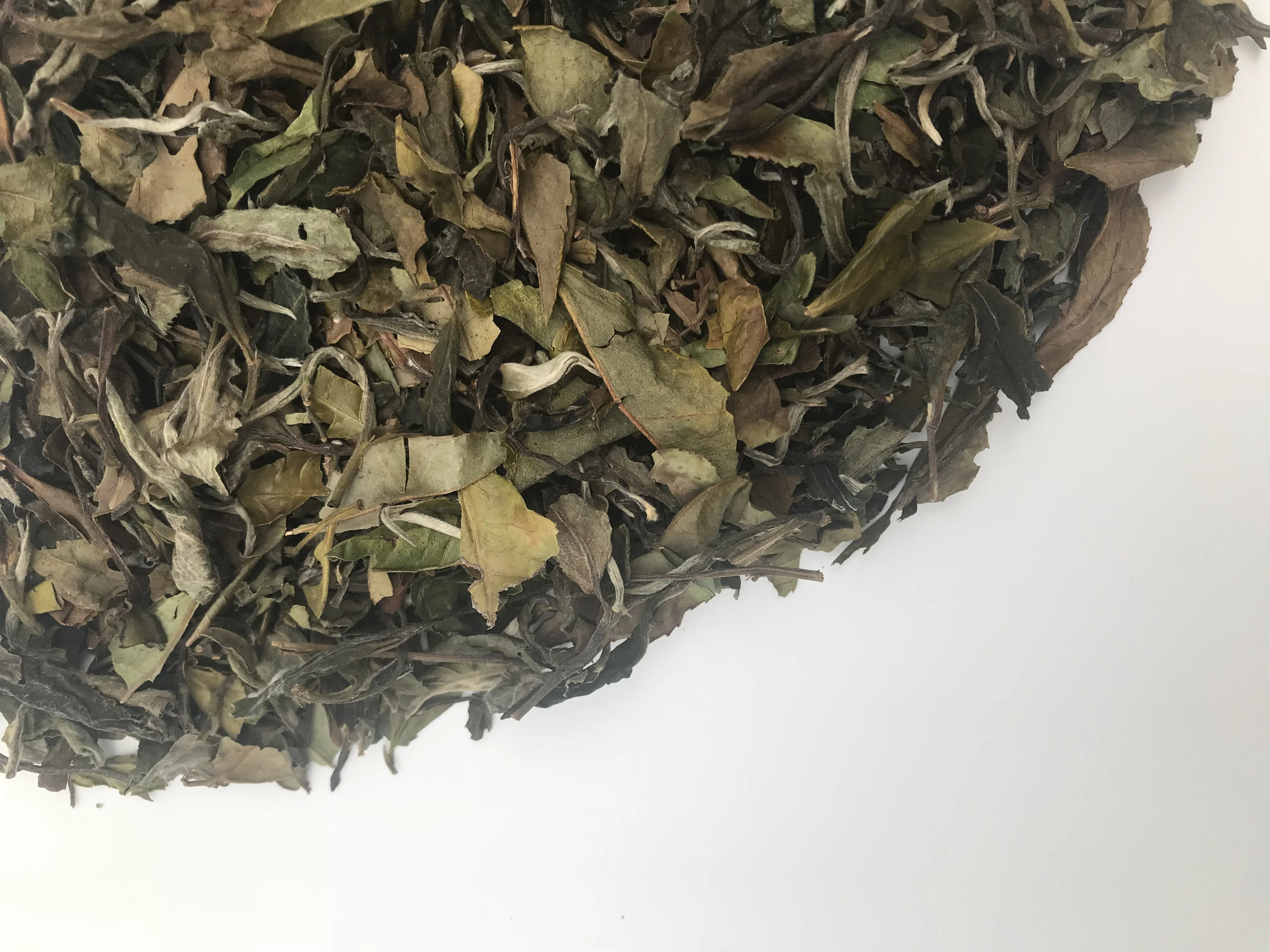 High Quality New Design Label White Tea Chinese With Great Price-
